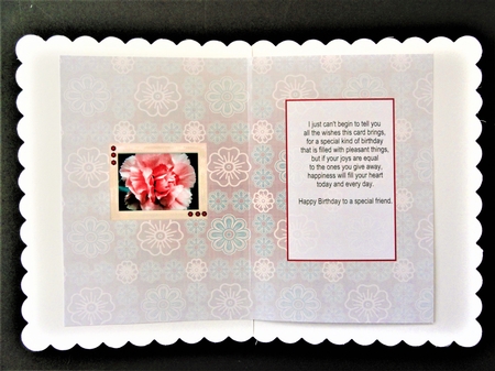 Birthstone and Birth Flower - January Insert by Valerie Spowart