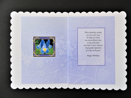 Birthstone and Birth Flower - February Insert by Valerie Spowart