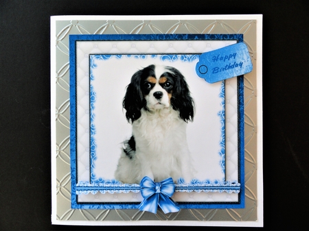 King Charles Spaniel by Valerie Spowart