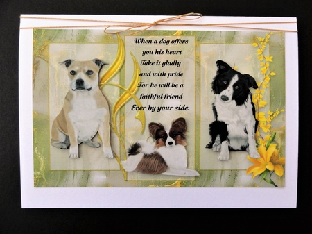 Love of Cats and Dogs by Valerie Spowart