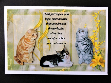 Love of Cats and Dogs by Valerie Spowart
