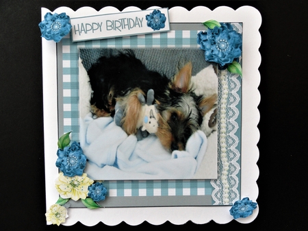 YORKIE BABY CARD MOTHERS DAY/ BIRTHDAY  by Valerie Spowart