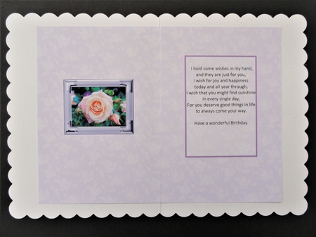 Birthstone and Birth Flower - June Insert by Valerie Spowart