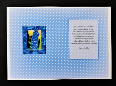 Birthstone and Birth Flower - July Insert by Valerie Spowart