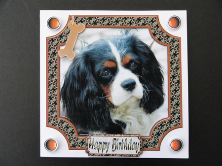  JJ CAVALIER KING CHARLES SPANIEL 8X8 by Valerie Spowart