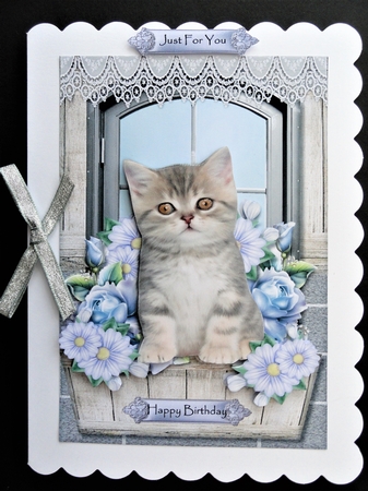 Cute Kitten In Window by Valerie Spowart