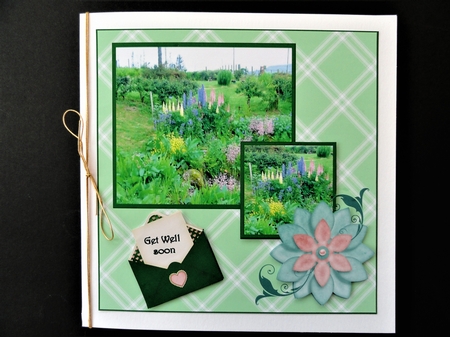 lupins in my garden by Valerie Spowart