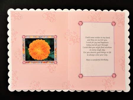 Birthstone and Birth Flower - October Insert by Valerie Spowart