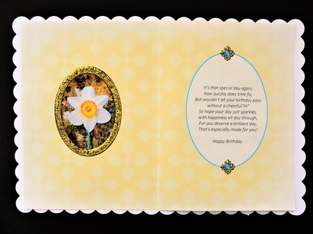 Birthstone and Birth Flower - December Insert by Valerie Spowart
