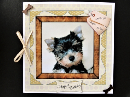 BABY YORKIE  by Valerie Spowart