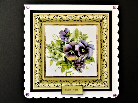 Coloured pansies by Valerie Spowart