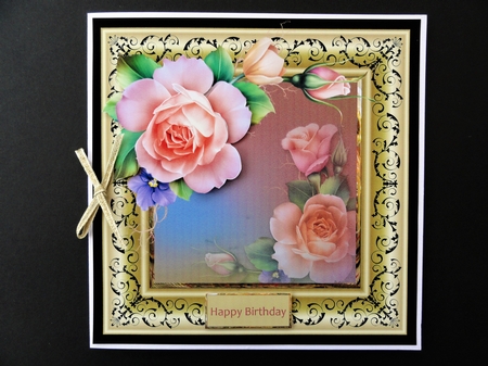 Summer rose by Valerie Spowart