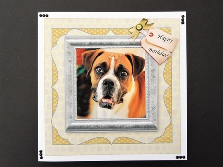 BOXER GET WELL - BIRTHDAY by Valerie Spowart