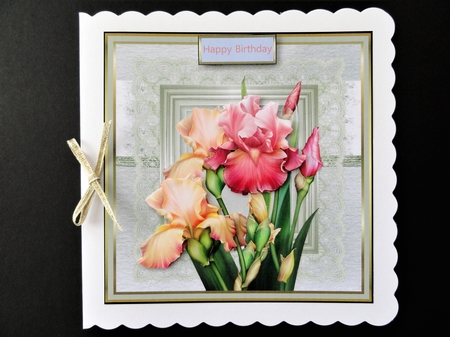 Blush Iris by Valerie Spowart