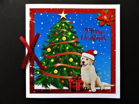 CHRISTMAS PUPPY  by Valerie Spowart