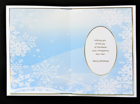 Christmas Snowflakes Insert 31 by Valerie Spowart