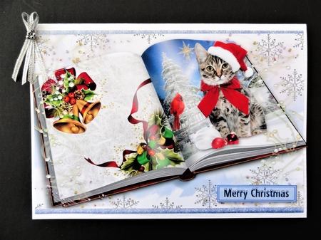 Waiting for Santa 2 by Valerie Spowart