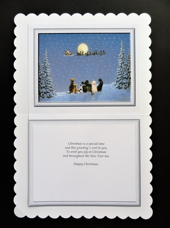 Is it really him Blank Insert by Valerie Spowart