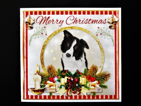Merry Christmas Border Collie by Valerie Spowart