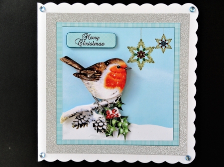 Christmas bird#4 by Valerie Spowart