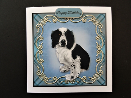 WELSH SPRINGER SPANIEL quick card sheet by Valerie Spowart