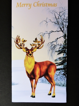 Stag Christmas money wallet. by Valerie Spowart
