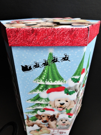 GORGEOUS TALL HEXAGONAL CHRISTMAS DECOUPAGE BOX - CHRISTMAS PUPS by Valerie Spowart