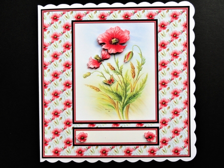 Beautiful Poppies by Rob Pohl 7 X 7 Card Topper by Valerie Spowart