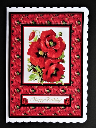 2 Beautiful Poppy Card Fronts 5 X 7 by Valerie Spowart