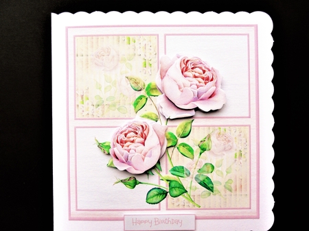 Pink English rose by Valerie Spowart