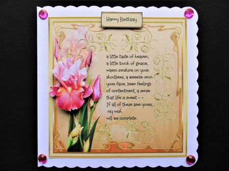 Pink Iris by Valerie Spowart