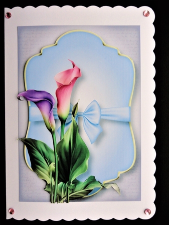 Gold Edged Mat & Bow - Calla Lilies by Valerie Spowart