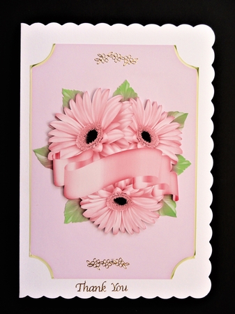 Gerbera and Banner Cluster  by Valerie Spowart