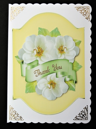 Dogwood Rose and Banner Cluster  by Valerie Spowart