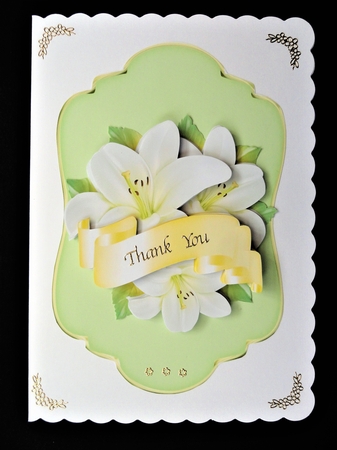 Lily and Banner JPG  by Valerie Spowart