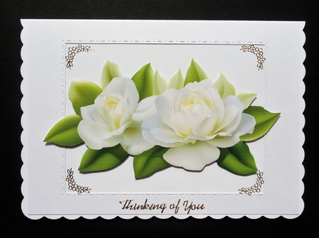 Set Of 3 White Roses by Valerie Spowart