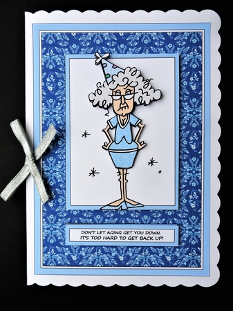 Stella Funny Birthday Bumper Kit 7 - Includes 8 Toppers by Valerie Spowart