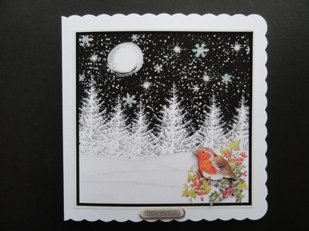 Winter by Valerie Spowart