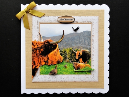 highland cow by Valerie Spowart
