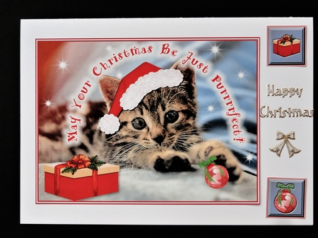 A Kittens Purrrrfect Christmas by Valerie Spowart