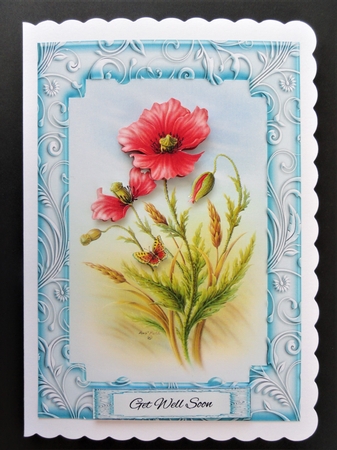 Lovely Rob Pohl Watercolor Poppies by Valerie Spowart