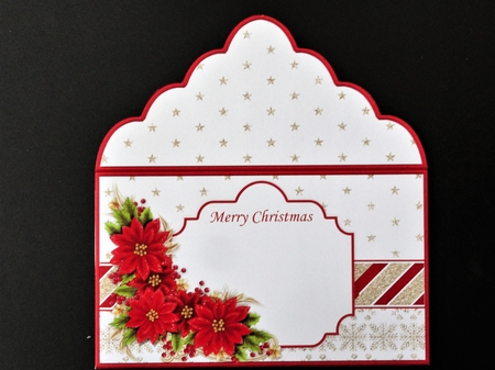 Christmas Money Wallet Gift Voucher Envelope POINSETTIA by Valerie Spowart