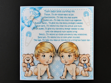 8x8 twin baby boys survival kit mini kit by Valerie Spowart