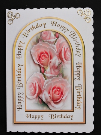 ASC Pink  roses by Valerie Spowart