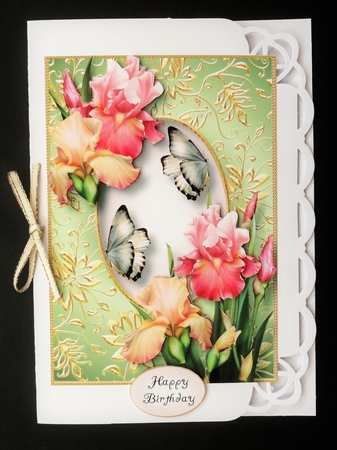 Gilded Frame & Blush Of Iris A5 by Valerie Spowart