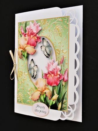 Gilded Frame & Blush Of Iris A5 by Valerie Spowart