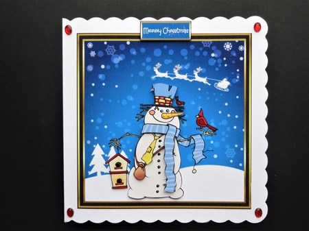 Snowman and his bird friend by Valerie Spowart