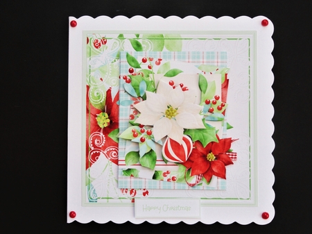 white and red poinsettia by Valerie Spowart