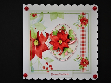 The red poinsettia by Valerie Spowart