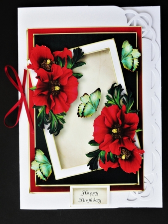 The Angled Frame - Poppies by Valerie Spowart